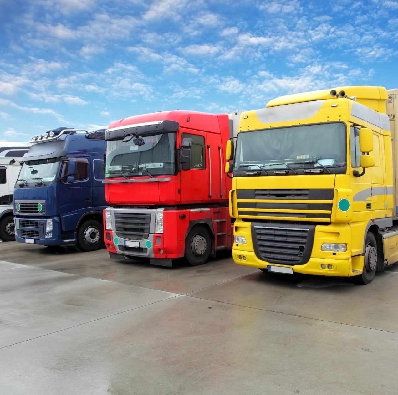 Showcase of different Medium Rigid trucks